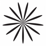 Amant Foundation